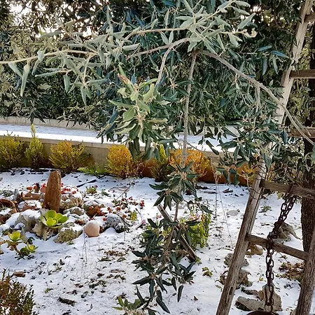 Wonder 3* Alberobello